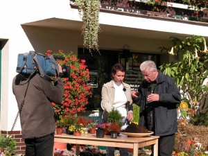 Z televizního natáčení | Rozkvetlý domov Žďár nad Sázavou